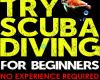 Try Scuba Diving - Honolulu