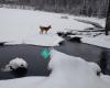 Arctic Benson Park - Anchorage