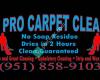 V V Pro Carpet Cleaning