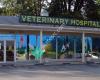 Veterinary Associates-Stonefield