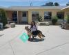 Victor Valley Animal Protection League