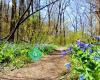 Virginia Outdoor Center