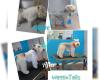 WagginTails Dog Grooming