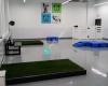 Wags Pet Resort Tigard