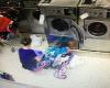 Waverly Wu Laundry