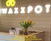 Waxxpot Sandy Springs