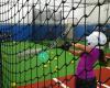 WD Batting Cages (formally swing away)