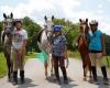 Whiting's Neck Equestrian Center