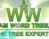 William Word's Tree Experts