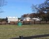 Willowick Morgan Horse Farm