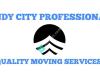 Windy City Professionals