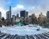 Wollman Rink