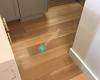 Wood Floor Planet
