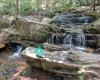 Woody Gap / Appalachian Trail