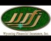 Wyoming Financial Insurance