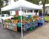 Yellow Springs Farmers Market