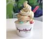 Yogurtland