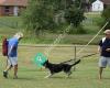 Zehfuss K-9 Training Center